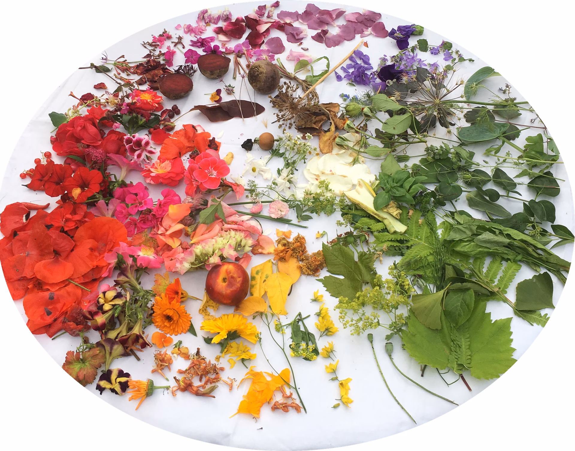 Welke natuurlijke materialen kun je gebruiken om verf te maken?